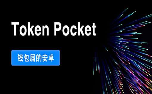 tp钱包可以查到真正使用人吗（tp钱包查询）